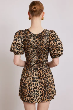 Bluebelle shirred mini dress - leopard